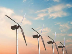 ���Ρ�����(�й���)�ٷ���վ